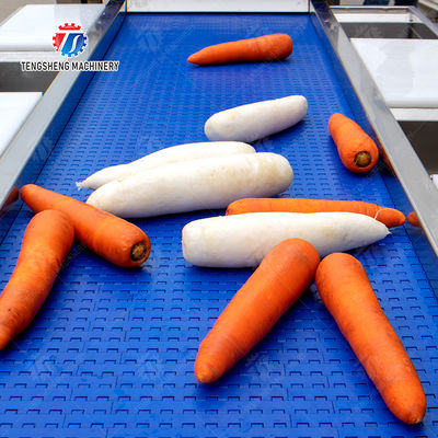 Enhance Your Production with Our State-of-the-Art Fruit And Vegetable Processing Line fruit and vegetable processing machinery