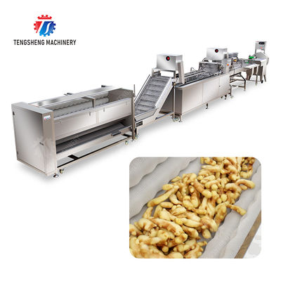 Brush bubble cleaning, drying, selection and cutting production line Revolutionize Your Food Production with Our State-of-the-Art Fruit And Vegetable Processing Line