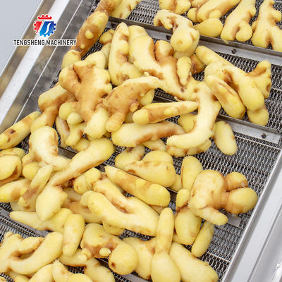 Brush bubble cleaning, drying, selection and cutting production line Revolutionize Your Food Production with Our State-of-the-Art Fruit And Vegetable Processing Line
