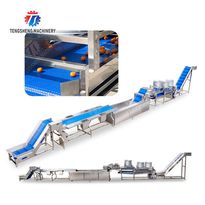 vegetable drying equipment	Fruit and vegetable selection  washing and drying production line Fruit Vegetable FOOD processing production Machine fruit juice processing machines