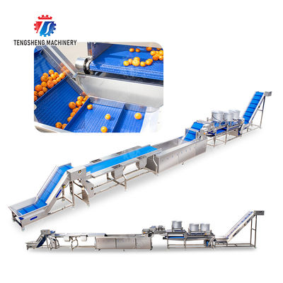 vegetable drying equipment	Fruit and vegetable selection  washing and drying production line Fruit Vegetable FOOD processing production Machine fruit juice processing machines