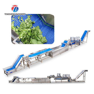 vegetable drying equipment	Fruit and vegetable selection  washing and drying production line Fruit Vegetable FOOD processing production Machine fruit juice processing machines