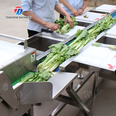 vegetable drying equipment	Fruit and vegetable selection  washing and drying production line Fruit Vegetable FOOD processing production Machine fruit juice processing machines