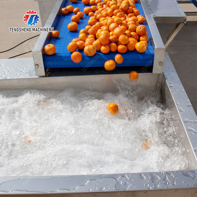 vegetable drying equipment	Fruit and vegetable selection  washing and drying production line Fruit Vegetable FOOD processing production Machine fruit juice processing machines