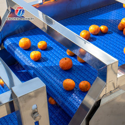 vegetable drying equipment	Fruit and vegetable selection  washing and drying production line Fruit Vegetable FOOD processing production Machine fruit juice processing machines