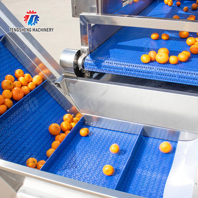 vegetable drying equipment	Fruit and vegetable selection  washing and drying production line Fruit Vegetable FOOD processing production Machine fruit juice processing machines