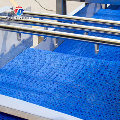 vegetable drying equipment	Fruit and vegetable selection  washing and drying production line Fruit Vegetable FOOD processing production Machine fruit juice processing machines