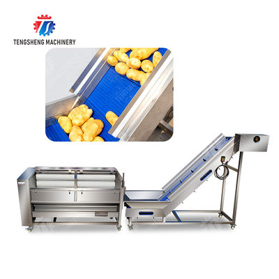 Brush washing and hoisting production line Ginger Potato Carrot Taro Sweet potato Yam processing production Machine