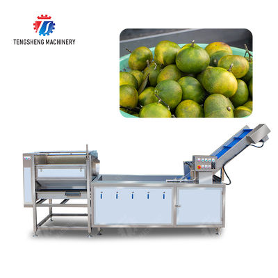 Customized Citrus Fruit And Vegetable Processing Line Impurities Treatment Sewage Disposal