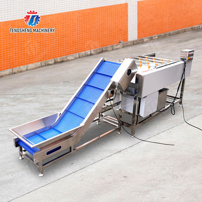 Orange Potato  Onions Ginger Potato Carrot Taro Sweet potato Yam Saiko persimmon papaya horseshoe Simple melon and fruit lifting and brush roller cleaning production line