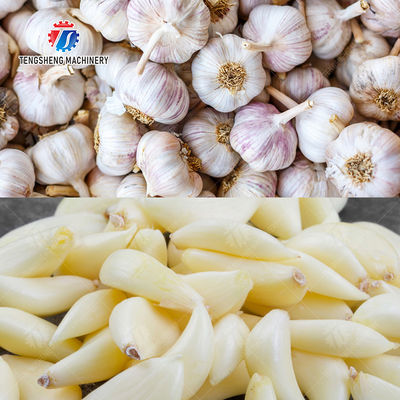 Garlic Peeling Machine garlic Destoning Peeling & polishing processing production