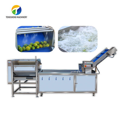 Εσπεριδοειδών μίσχος λεμονιών επεξεργασίας βούρτσα αεροφυσαλίδων μηχανημάτων βιομηχανική