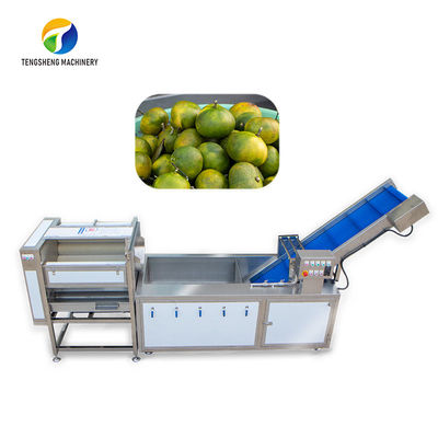 Η σκόνη τρίβει Sortment φρούτων γραμμών παραγωγής φυτικό καθαρισμό ανανά φυσαλίδων τον ελέγχοντας